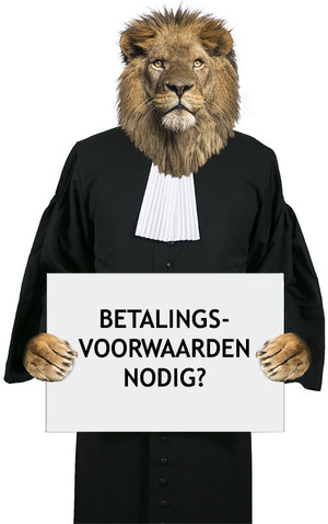 betalingsvoorwaarden nodig