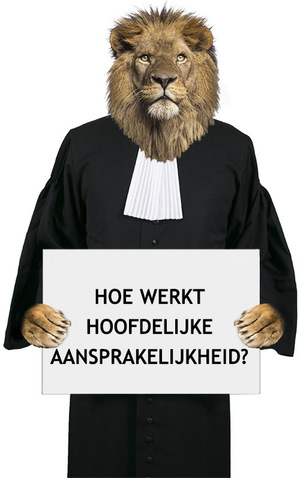 hoe werkt hoofdelijke aansprakelijkheid